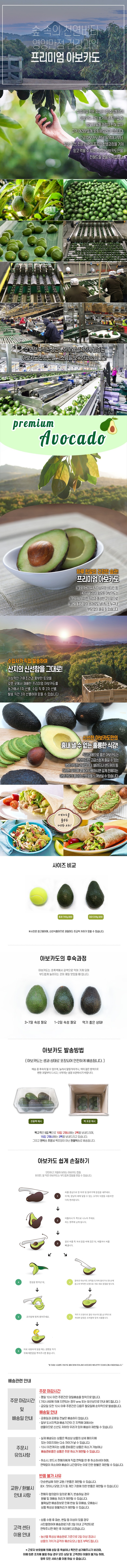 아보카도 상세페이지